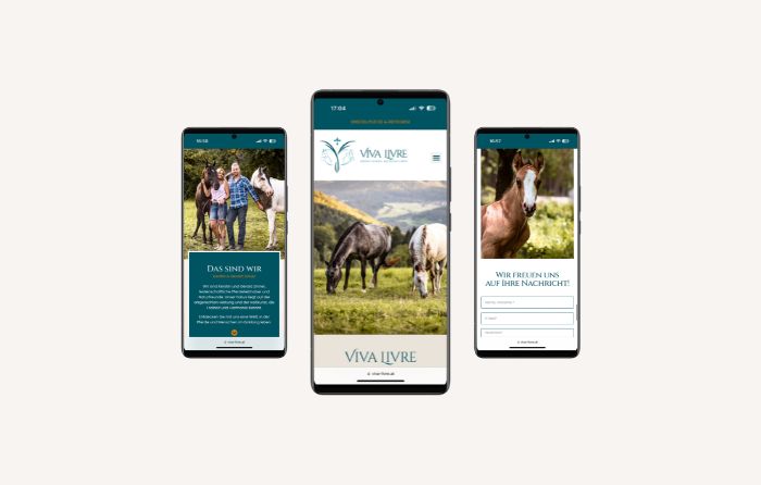 Vk Design - Webdesign aus Wien für Viva Livre